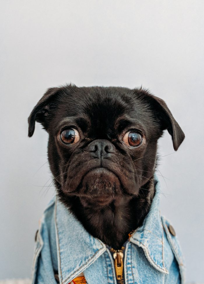 Charles 550068 Unsplash