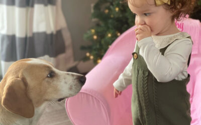 Building a Special Bond Between Children and Pets