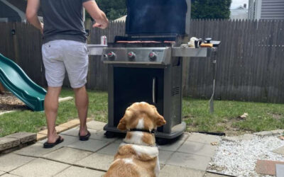 How to Host a Safe BBQ for your Pets